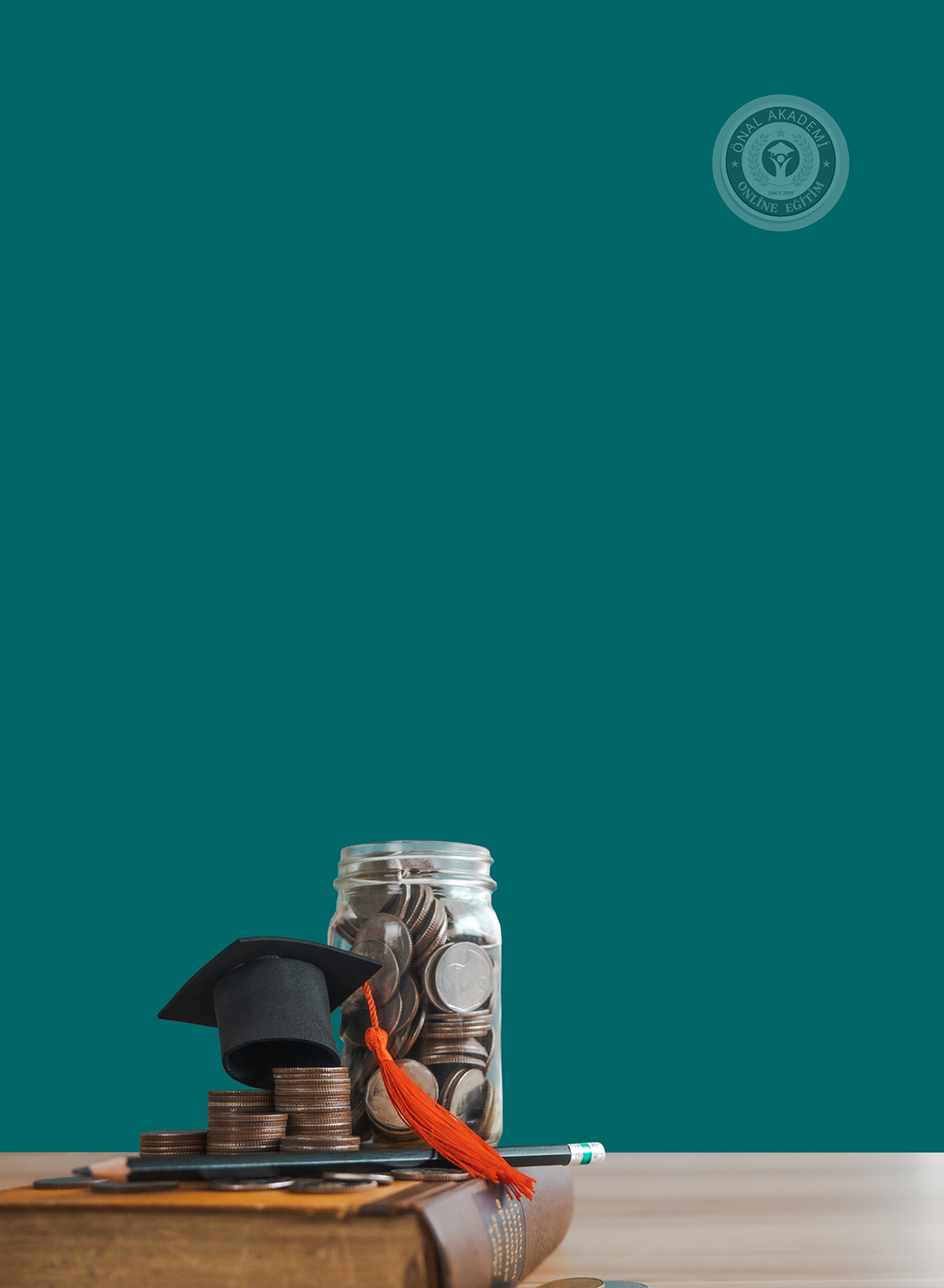 ales dikey v3